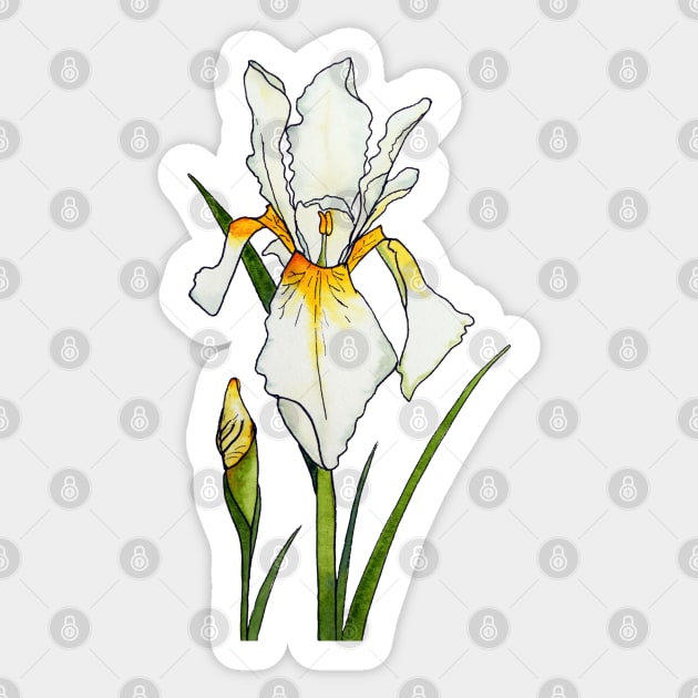 Iridescent Iris Sticker by Kirsty Topps